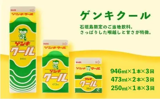 【定期便_3回】八重山ゲンキ乳業 オールスターセット　GN-2_3t