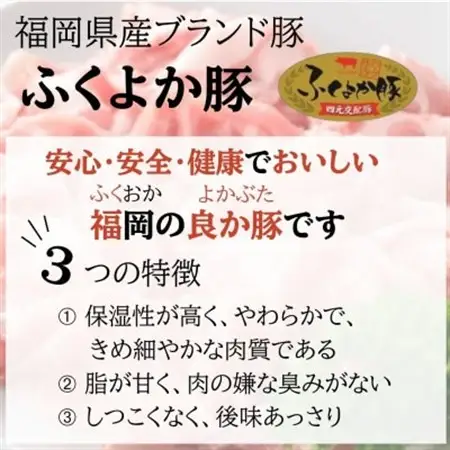 福岡県産ふくよか豚詰合せセットA【配送不可地域：離島】【1656332】