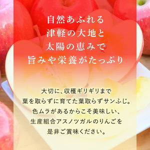 りんご【12月・1月発送】蜜入り 糖度13度以上 訳あり 家庭用 葉とらず サンふじ 約10kg【青森りんご 果物 フルーツ デザート 食後 おやつ 産地直送】