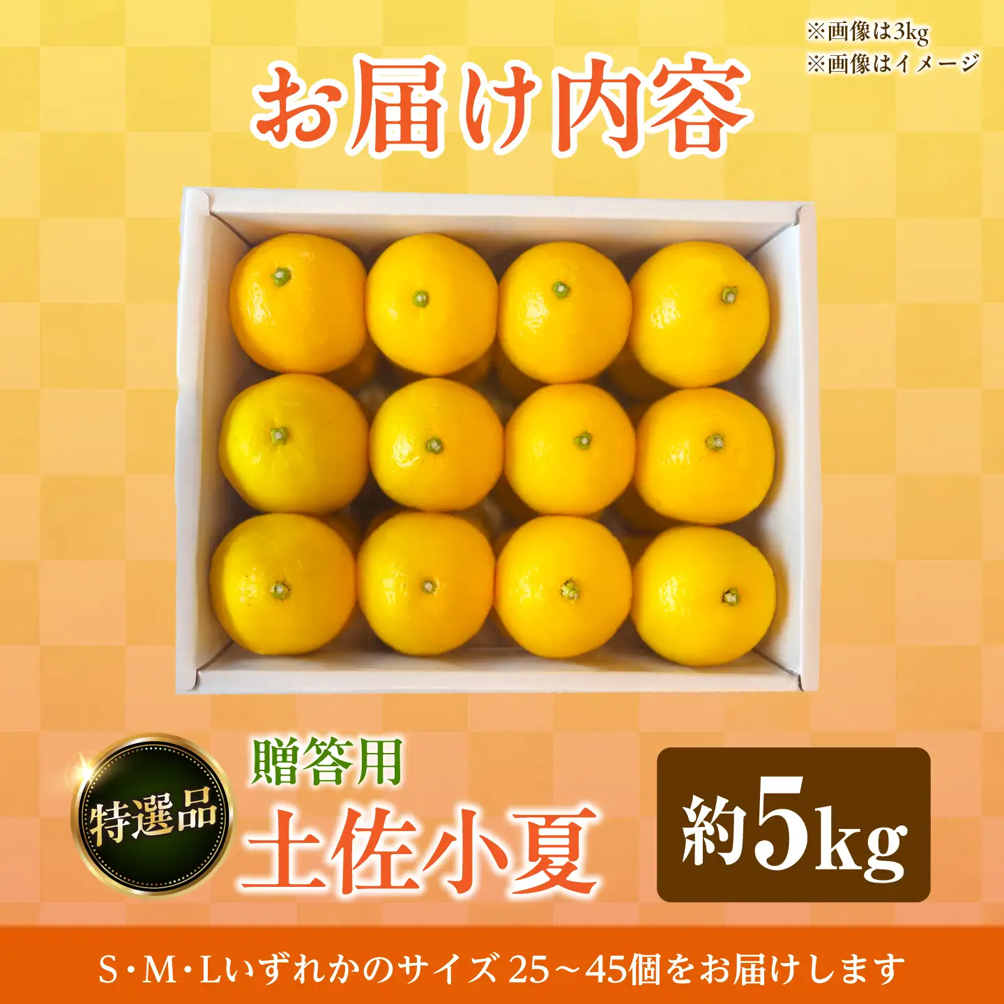 【先行予約】＜果樹園直送＞土佐小夏 特選品贈答用 約5kg 5キロ〈2026年5月下旬?6月下旬頃発送〉  / こなつ 小夏 日向夏 ニューサマーオレンジ 柑橘 かんきつ 柑橘類 フルーツ 果物 くだもの 果実 デザート おやつ【白木果樹園】 [BQAI028]