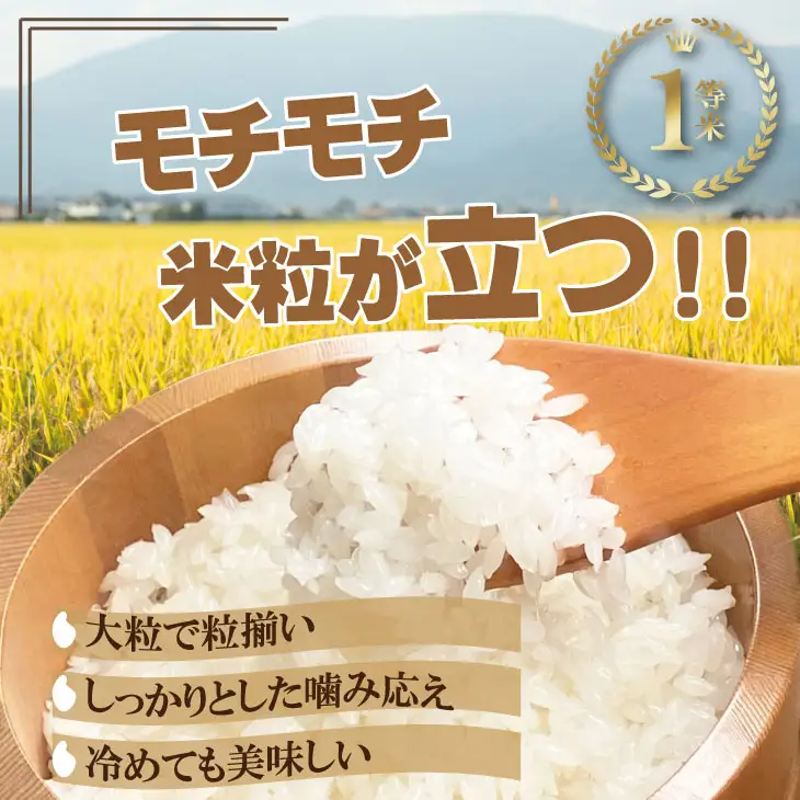令和7年度産  特別栽培米 無洗米 さがびより （ 5kg ）2024お米番付「優秀賞」！佐賀県認定 しもむら農園  B180-014