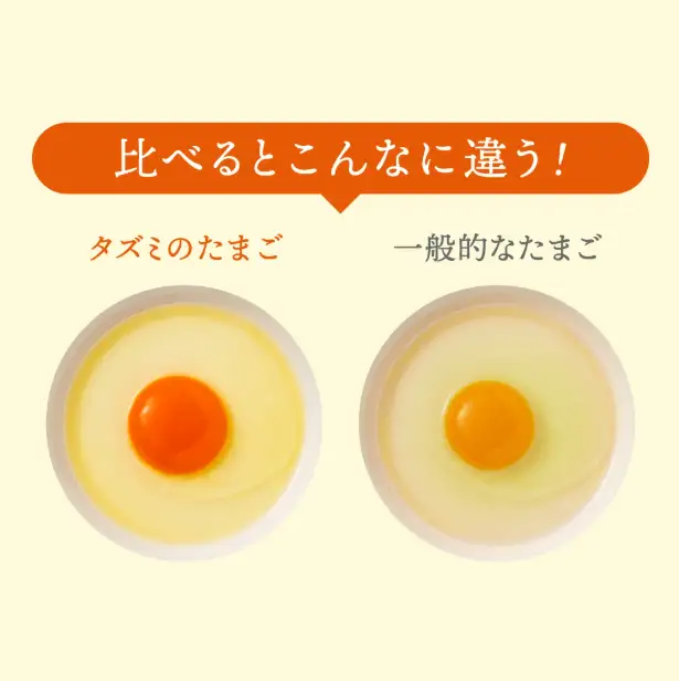 【累計600万個突破！】【TVで紹介されました】タズミの卵Ｍサイズ（20個）005AB02N.／こだわり卵 市川町産 兵庫県産 たまご たまごかけご飯 玉子 生卵 鶏卵 タマゴ 卵焼き TKG