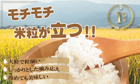 令和7年度産 佐賀県認定 「農薬：栽培期間中不使用」 無洗米 さがびより （ 10kg ）しもむら農園 2024お米番付「優秀賞」！ 精米 白米 ブランド米 お米 白飯 人気 ランキング 高評価 お米 D440-004