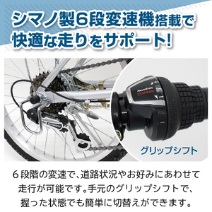 【 自転車 】 折りたたみ自転車  20インチ ノーパンク ETN001