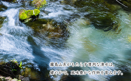  令和7年産 高原町産ヒノヒカリ5kg（無洗米）[数量限定 九州産 宮崎県産 高原町産 ひのひかり お米 白米] TF0853-P00032