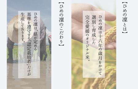 令和7年産 愛媛県産 ひめの凜 10kg