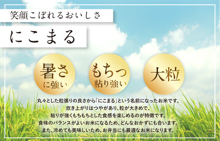 令和7年産 愛媛県産 にこまる 10kg