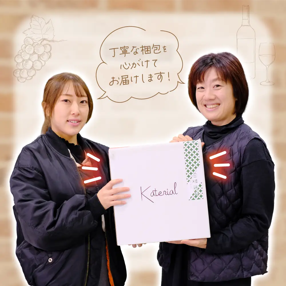 甲斐市産 赤白ワイン 12本 定期便 ワイン 山梨ワイン 山梨県 甲斐市 AD-315