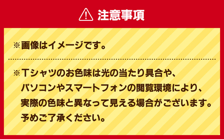 【 セット 】三浦国際市民マラソン 大会 記念グッズ オリジナル Tシャツ（各 Mサイズ ・ 三色セット ） M037-016-02 マラソン 三浦マラソン 雑貨 日用品