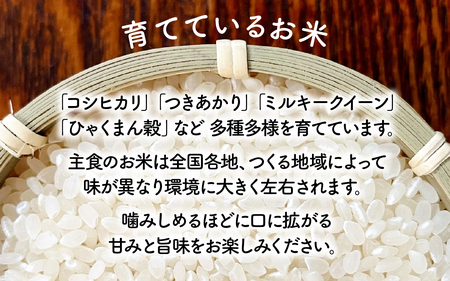 白米 精米 【令和7年産】あいかみのお米 1kg（1kg × 1パック） / お米 お米 