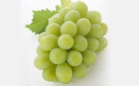 【3回定期便】 マスカットオブアレキサンドリア ニューピオーネ 晴王 【2026年7月上旬より順次発送開始】 葡萄 ブドウ ぶどう フルーツ 果物 ギフト 国産 岡山県産