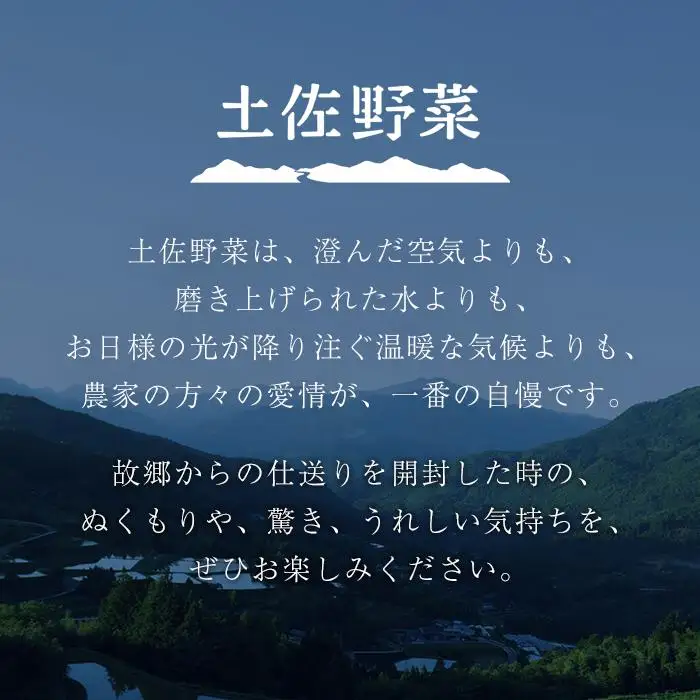 旬の土佐野菜セット 旬の詰め合わせ小セット 4回定期便 野菜