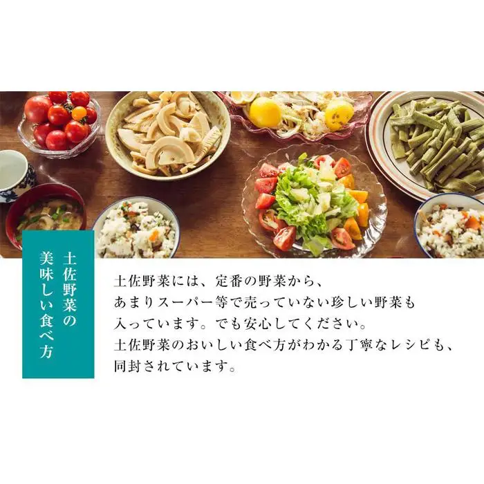 旬の土佐野菜セット 無農薬生姜100g付き 3回定期便 野菜