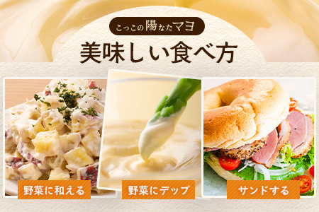 ＼濃厚卵のマヨネーズ／瓶詰め マヨネーズ 5本セット | 上田養鶏場のこっこの陽なたマヨ 170g | マヨネーズ マヨ 調味料 たまご 平飼い お料理 安心 安全 玉子 サラダ ディップ ポテトサラダ ドレッシング 送料無料　C-173