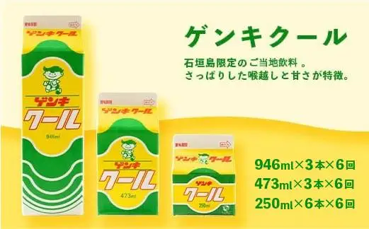 【定期便_6回】八重山ゲンキ乳業 全種バリューセット　GN-4_6t