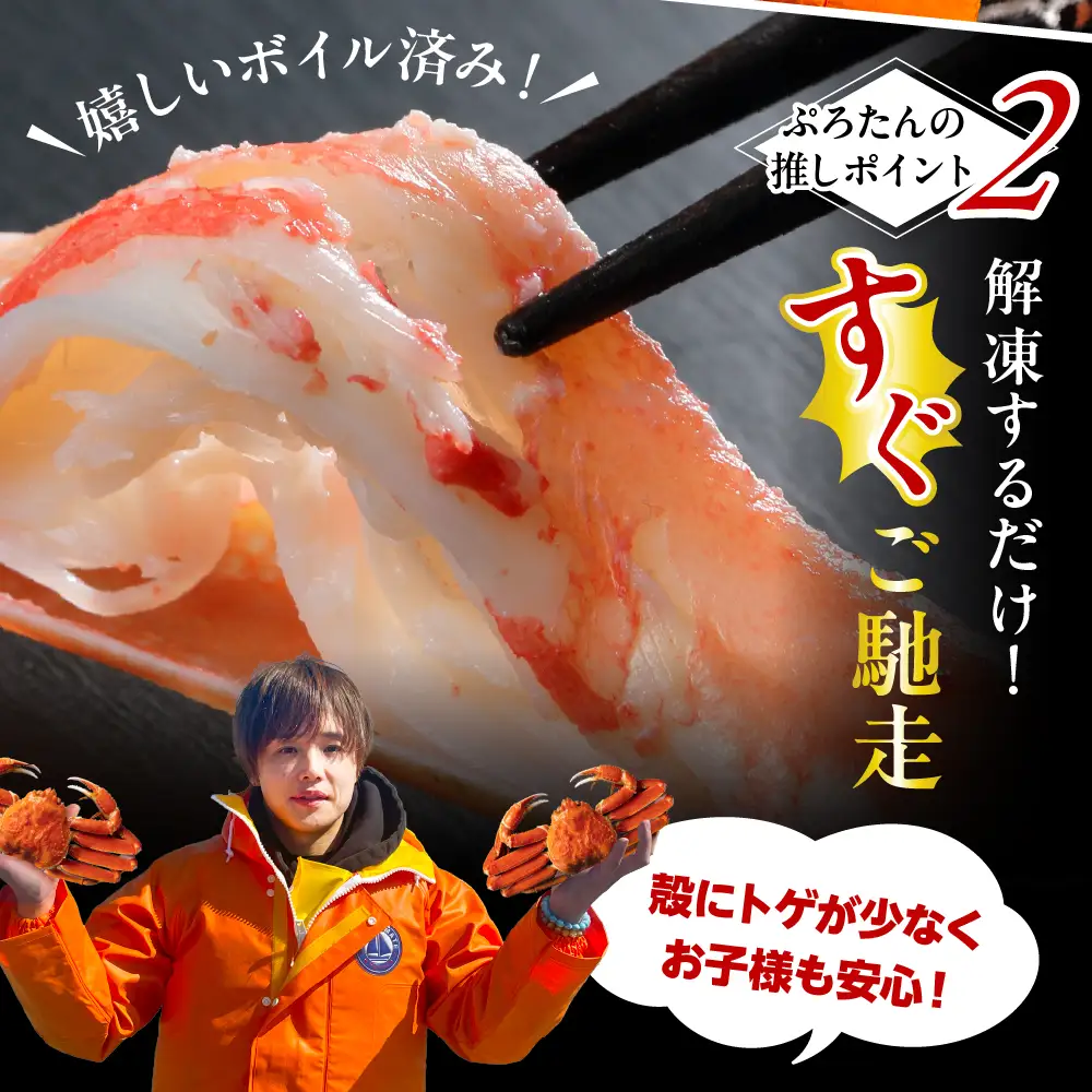本ズワイガニ 5肩（約2㎏）
