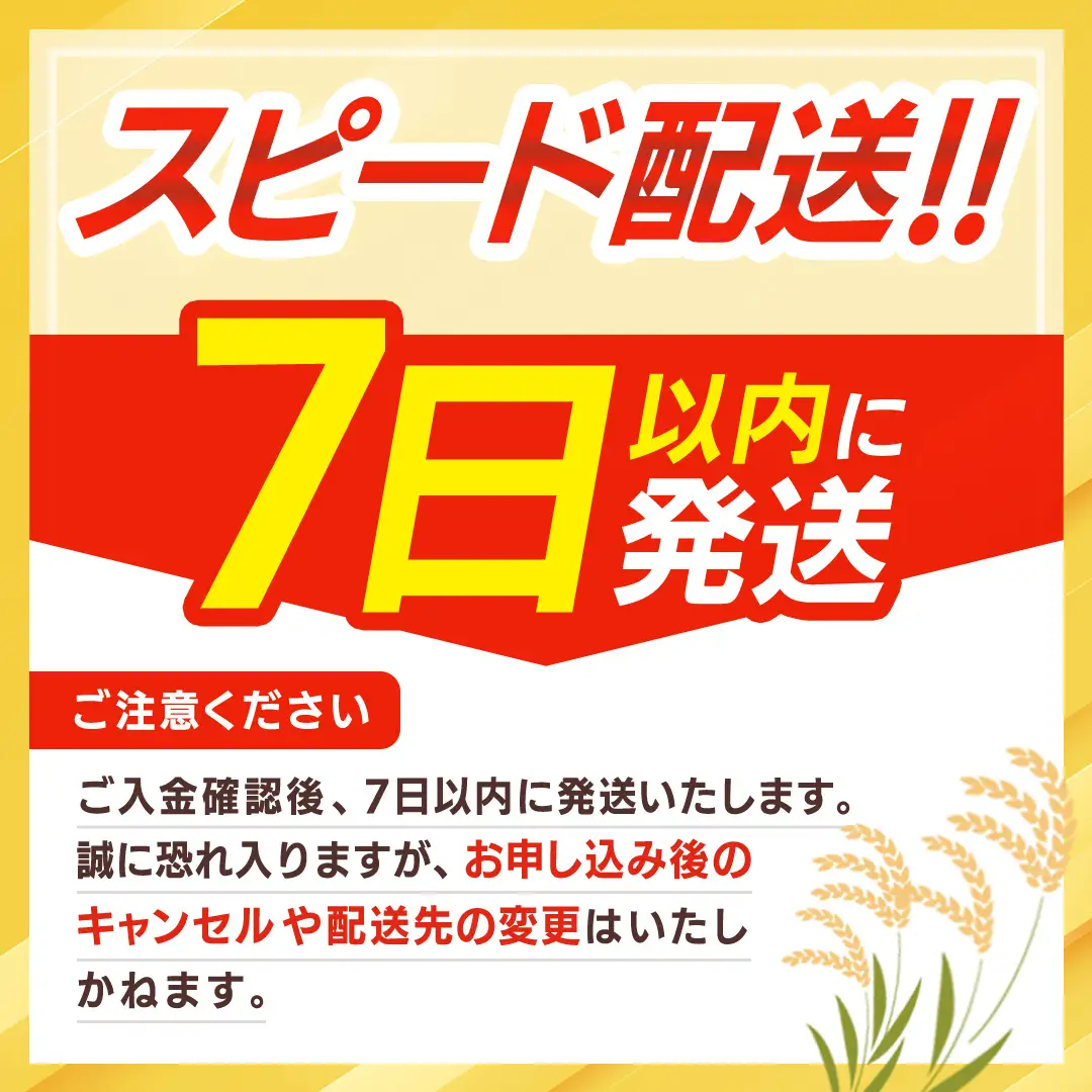 【令和7年産】 ミルキークイーン 精米 5kg（5kg×1袋）（茨城県共通返礼品 かすみがうら市産） 米 ごはん もっちり 甘い コメ お米 白米 銘柄米 [EX016sa]