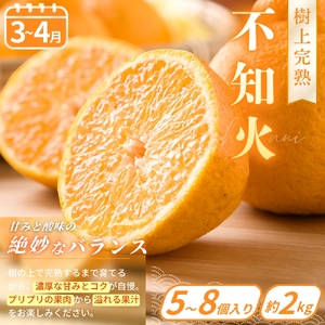 【フルーツ定期便・全6回】品質に自信あり！くしがきの里から直送　厳選した果物を最高のタイミングでお届け♪ / 定期便 桃 もも みかん 柑橘 シャインマスカット マスカット いちご 不知火 はれひめ イチゴ 苺 果物 フルーツ 6回【BK-kgr039】