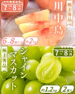 【フルーツ定期便・全9回】品質に自信あり！くしがきの里から直送　人気の果物を贅沢に楽しめる♪  / 定期便 桃 もも みかん 柑橘 シャインマスカット ぶどう 柿 キウイ マスカット いちご 不知火 はれひめ イチゴ 苺 果物 フルーツ 9回【BK-kgr040】