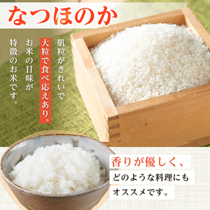 i1179-C 令和7年産 鹿児島県 出水市産 なつほのか (計20kg・5kg×4袋) 米 20kg なつほのか 鹿児島 20キロ お米 九州 九州産 甘み 大粒 【いずみキッチン】