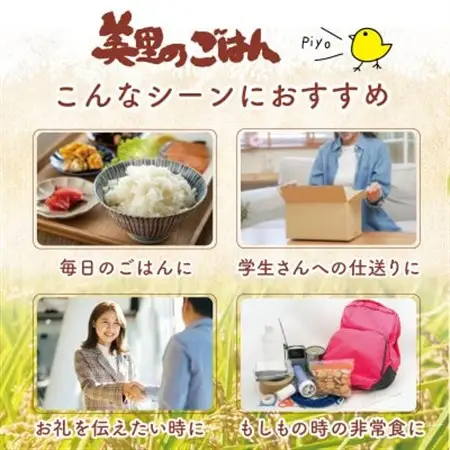 美里のおいしいごはん(コシヒカリ100%使用)　200g入×24個　防腐剤不使用　パックご飯【1665395】