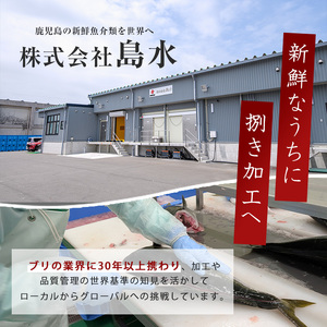 【皮なし】鰤の切り身（約1.0kg）【株式会社島水】shimasui-7290