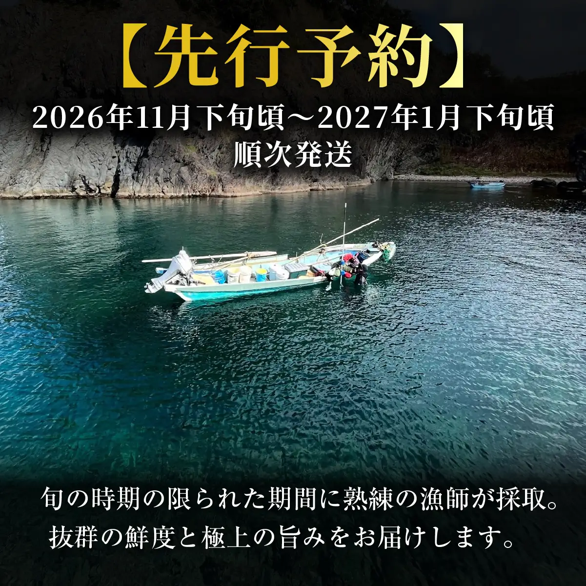 北海道室蘭産 天然活蝦夷あわび 5個入（1個100g～120g前後）2026年11月下旬頃～2027年1月下旬頃順次発送 MROH006