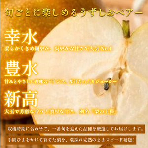 梨 なし 4.5kg以上 10〜13玉 3L〜5Lサイズ 2026年 8月順次発送 梨