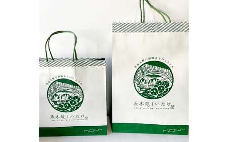 015-692x1 大分県産 椎茸 進物 どんこ 120g 乾燥椎茸 きのこ 茸