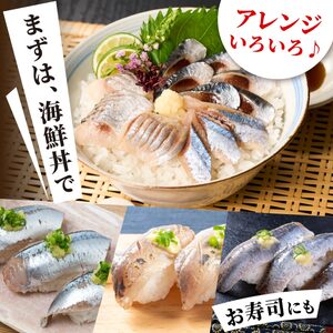 北海道産「刺身さんま」×「刺身いわし」×「刺身にしん」光り物3種セット【さんま×2パック、いわし・にしん×各1パック】_K015-1523