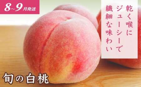 ［4回定期便］ 信州フルーツ4回コース ［小布施屋］ 定期便 先行予約 フルーツ 数量限定 さくらんぼ 白桃 ネクタリン シャインマスカット ぶどう クール便 冷蔵 お楽しみ 長野県産 信州産 令和8年産 【2026年6月中旬～11月発送】[E-2]