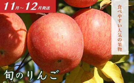 ［3回定期便］ 信州のフルーツ3回コース 小箱 ［小布施屋］ 定期便 先行予約 フルーツ 数量限定 白桃 シャインマスカット ぶどう りんご お楽しみ 3回お届け 長野県産 信州産 令和8年産 【2026年7月～12月発送】[A-309]