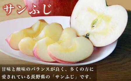 先行受付 蔵出し冬のシャインマスカット1房とふじりんご2玉のセット 約1.2kg ［小布施屋］フルーツ 果物 詰め合わせ 詰合せ 数量限定 シャインマスカット サンふじ 単身用 一人暮らし 2人暮らし 長野県産 信州産 令和8年産 【2026年12月中旬頃～2027年2月発送】［A-305］