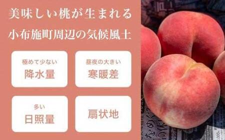 季節の桃 約3kg 7～12玉［ おぶせファーマーズ ］桃 もも モモ ピーチ フルーツ 果物 たまき なつき あかつき 川中島白鳳 なつっこ 川中島白桃 黄金桃 だて白桃 先行予約 長野県産 信州産 クール便 冷蔵便 お取り寄せ 産地直送 数量限定 産地 直送 令和8年産【2026年7月中旬～9月中旬発送】［F-62］