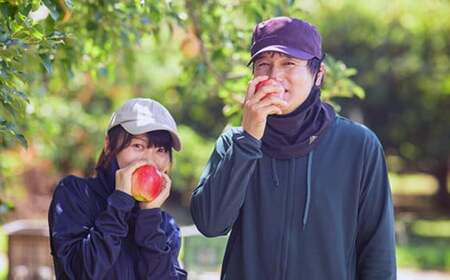 【訳あり】シナノドルチェ 約3kg 6～12玉 ［ おぶせファーマーズ ］ 数量限定 期間限定 果物類 林檎 りんご リンゴ 規格外 不揃い フルーツ 長野県産 信州産 令和8年産 【2026年9月中旬～下旬発送】 ［FH-56］