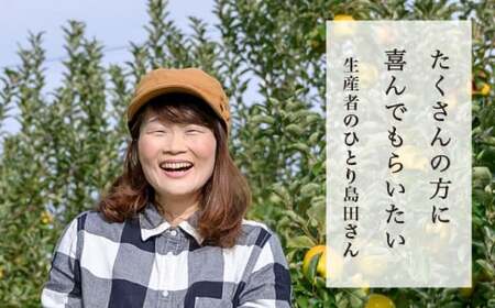 【訳あり】 シナノスイート 約3kg 6～12玉 ［おぶせファーマーズ］ 不揃い 規格外 家庭用  果物 フルーツ りんご 林檎 リンゴ 果物 フルーツ 長野県産 信州産 令和8年産 【2026年10月中旬～11月上旬発送】 ［FH-54］