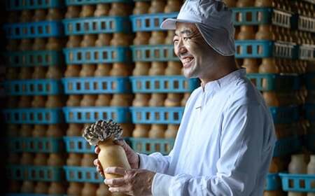  ぶなしめじ 300g × 4袋 ［おぶせファーマーズ］ きのこ キノコ 野菜 鍋 炒め物 長野 信州 ［FH-50］