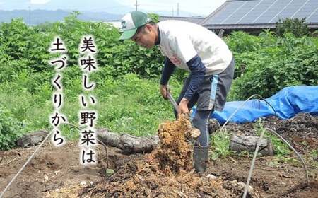 ［栽培期間中農薬・化学肥料不使用］OBUSE Meguru 野菜セット L 9～13種類 ［おぶせファーマーズ］野菜 詰め合わせ  おまかせ やさい 詰合せ お楽しみ 長野県産 信州 令和8年産 【2026年7月上旬より順次発送】  ［FY-3］