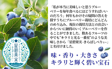冷凍ブルーベリー 1.5kg（500g×3袋） きらぼしファーム ブルーベリー