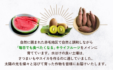 【先行予約】富山県産スイカ 羅皇 中玉 2玉 （3-4kg/玉） 【2026年8月以降順次発送】 スイカ 夏 果物 フルーツ 富山県 氷見市