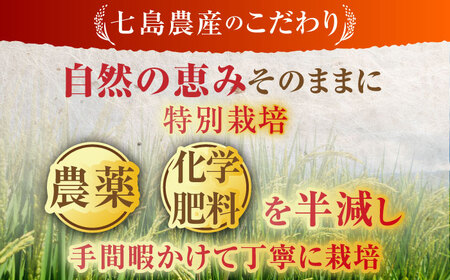 令和7年産 ななしま家 さがびより 5kg×2袋 / 白米 特別栽培 / 佐賀県 / 有限会社七島農産 [41AHAC004]