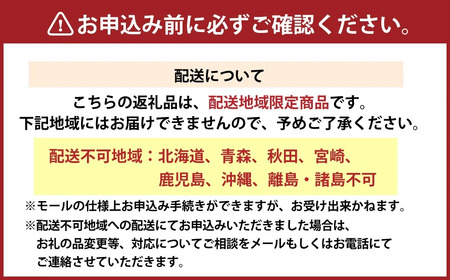 年内発送 【2025年12月31日着】 和風おせち二段重 「伊勢蛤貝道」 ／ おせち お節 グルメ 2026 年末 正月 お祝い 新年 新春 迎春 縁起物