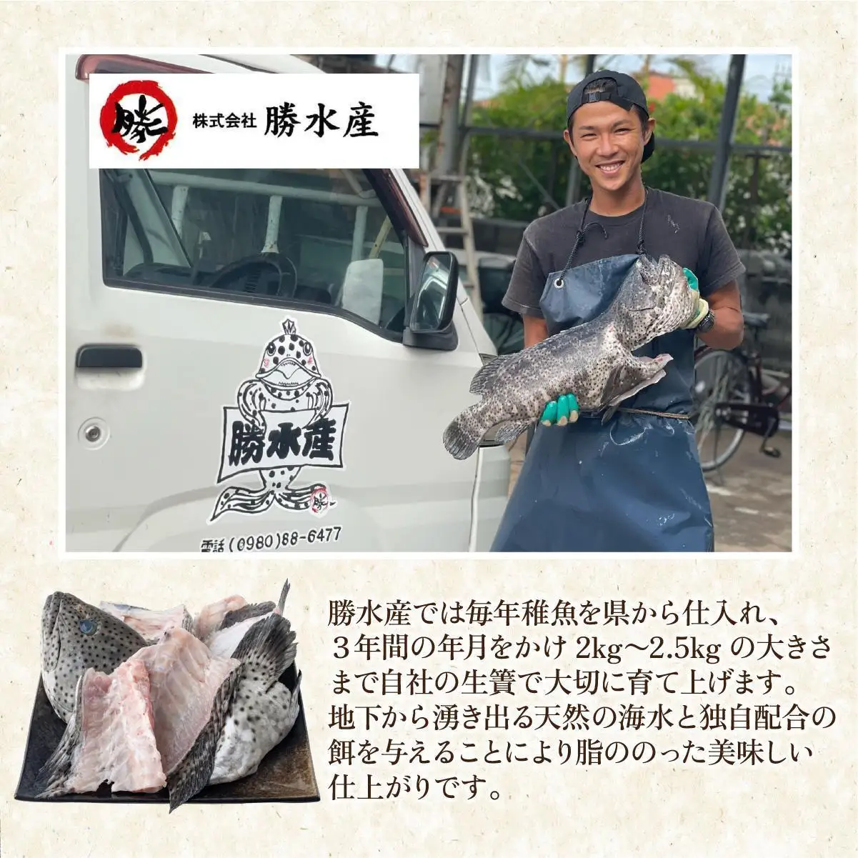 石垣島 ハタ 販売記念お試しお刺身用 