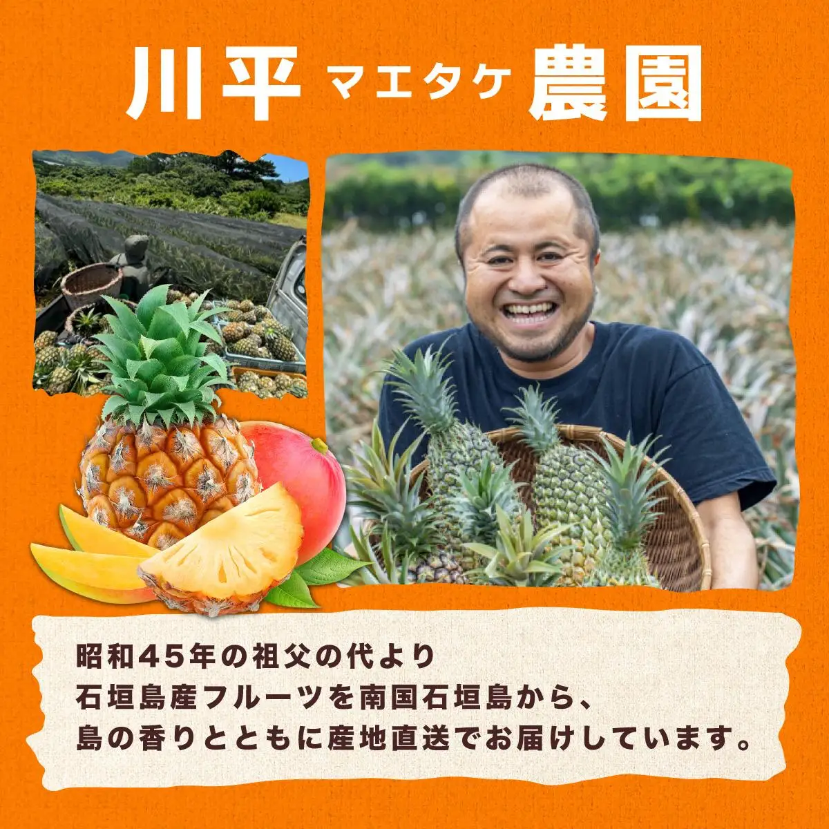 川平パイン お徳用訳あり4kg 　KN-6