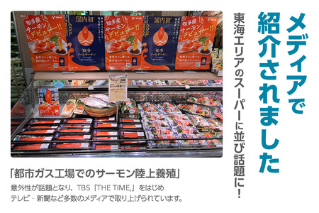 知多クールサーモン(ペッパーサーモン　100g×5パック) 数量限定 スモークサーモン ブラックペッパー 鮭 さけ 魚 海鮮 魚介類 おつまみ スモーク オードブル おかず 惣菜 お取り寄せ 冷凍 国産 燻製 愛知県 知多市 特産品