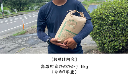 【令和7年産】宮崎県高原町産 ひのひかり白米 5kg TF00854-P00079