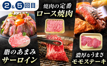【6回定期便】肉のキング 飛騨牛満喫セット / 飛騨牛 サーロイン ステーキ 肉 詰め合わせ セット 岐阜県 / 御嵩町 / 肉のキング[AVAG020]