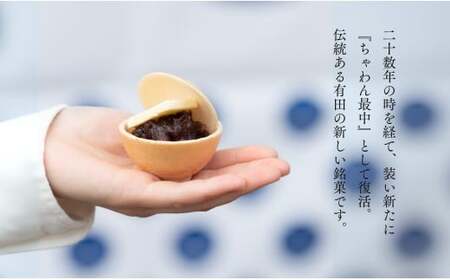 復活！有田銘菓 ちゃわん最中 手作り最中セット 老舗和菓子店のつぶあん付き 10組 (10組入×1箱) 【アリタカラ】和菓子 ギフト 贈答 老舗 和菓子店 鶴屋 粒あん あんこ 佐賀銘菓 さくさく 最中 もなか 子供 おやつ F24-3