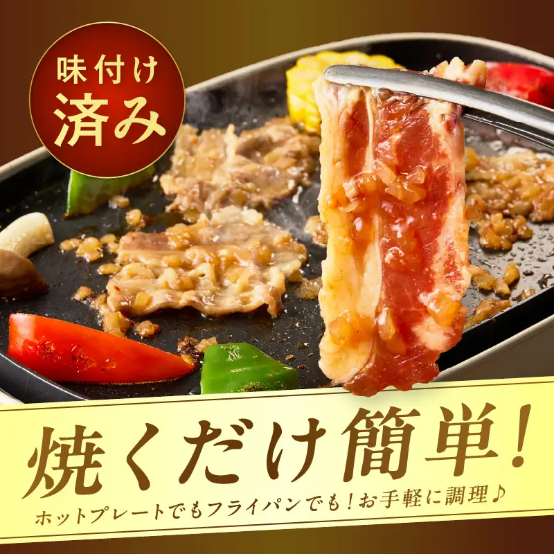 北見市産玉ねぎ使用 味付け牛肉 シャリアピンソース 300g×5個 ( 肉 牛肉 たまねぎ タマネギ 焼肉 )【224-0047】