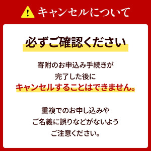 コクヨキャンパスノート・A5・A罫20冊　BB31